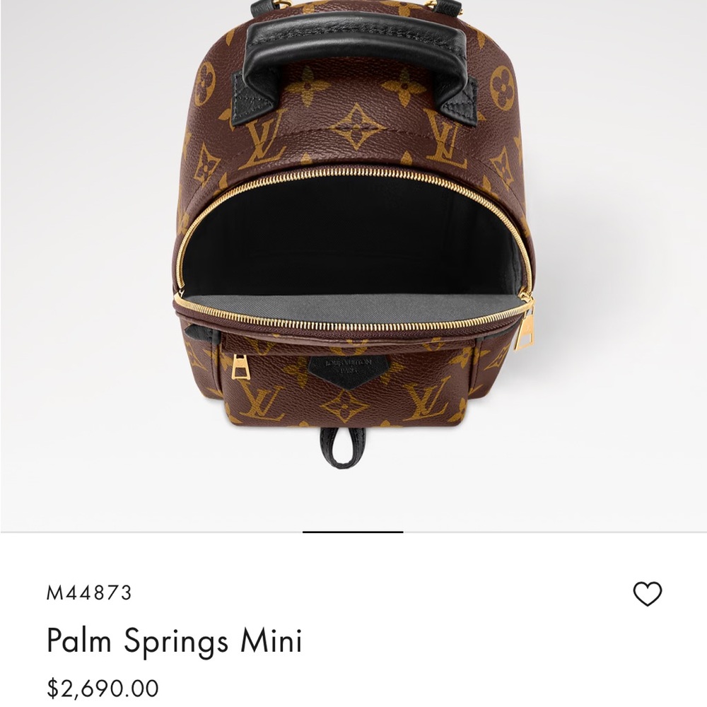Louis Vuitton Palm Springs Mini Backpack - Brown Monogram - Picture 3 of 5